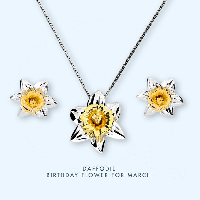 March Birthday Ideas