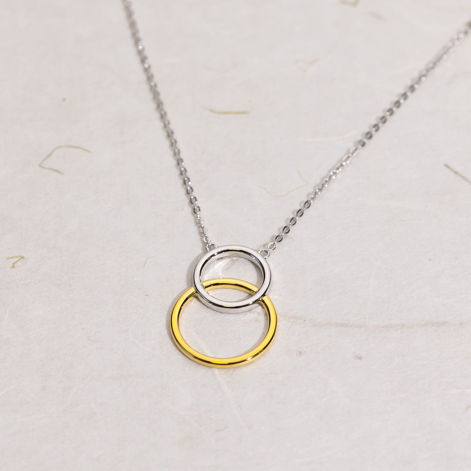 Silver & Gold Vermeil Twin Circle Necklace