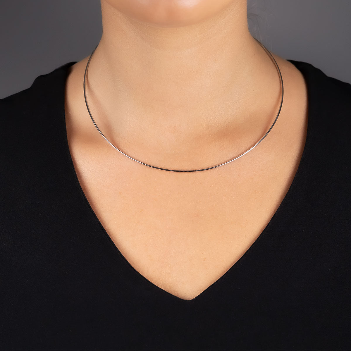 Silver Omega Flexible Collar