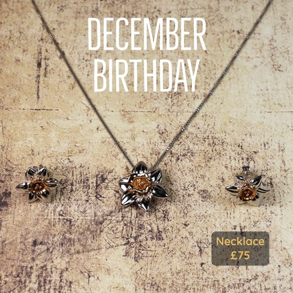 Gift Ideas for December Birthdays