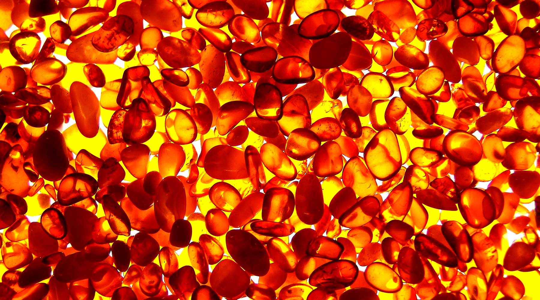 What is amber, where does it come from and why is it such a lovely gift