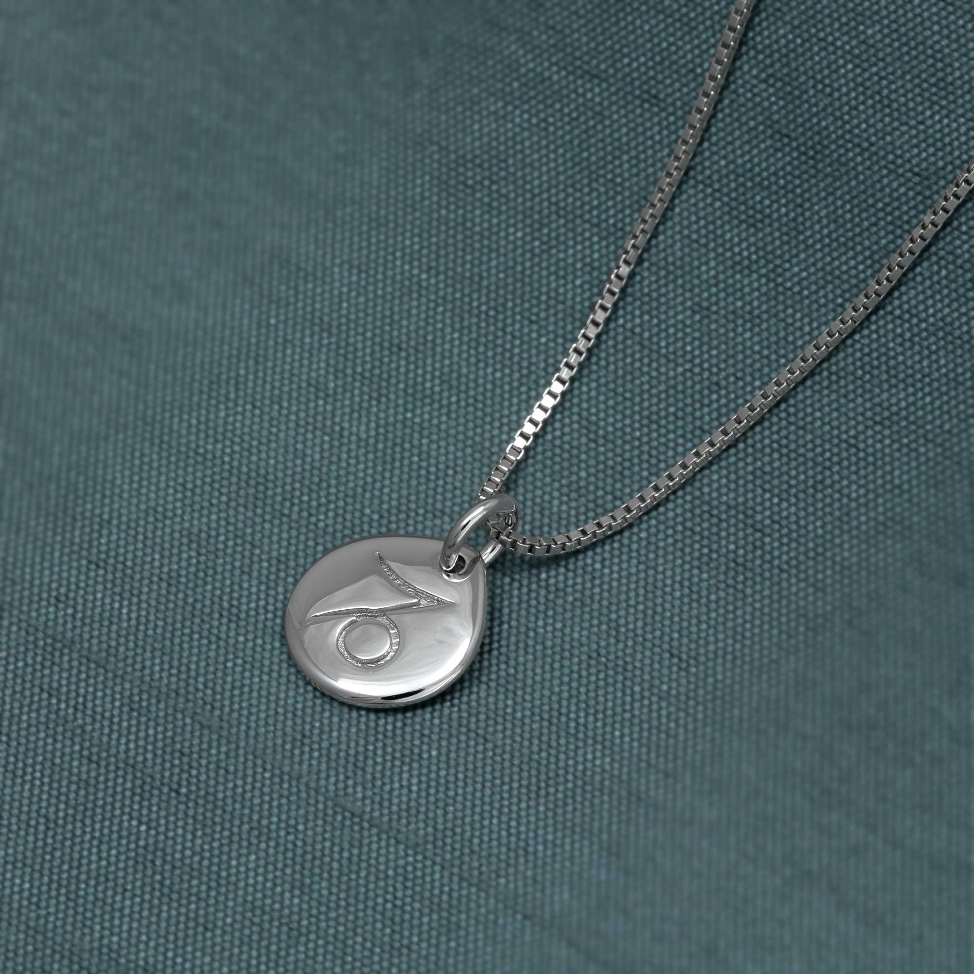 Polished sterling silver pendant featuring a sculpted Capricorn zodiac symbol, suspended from a delicate silver chain, styled against a muted slate fabric background.