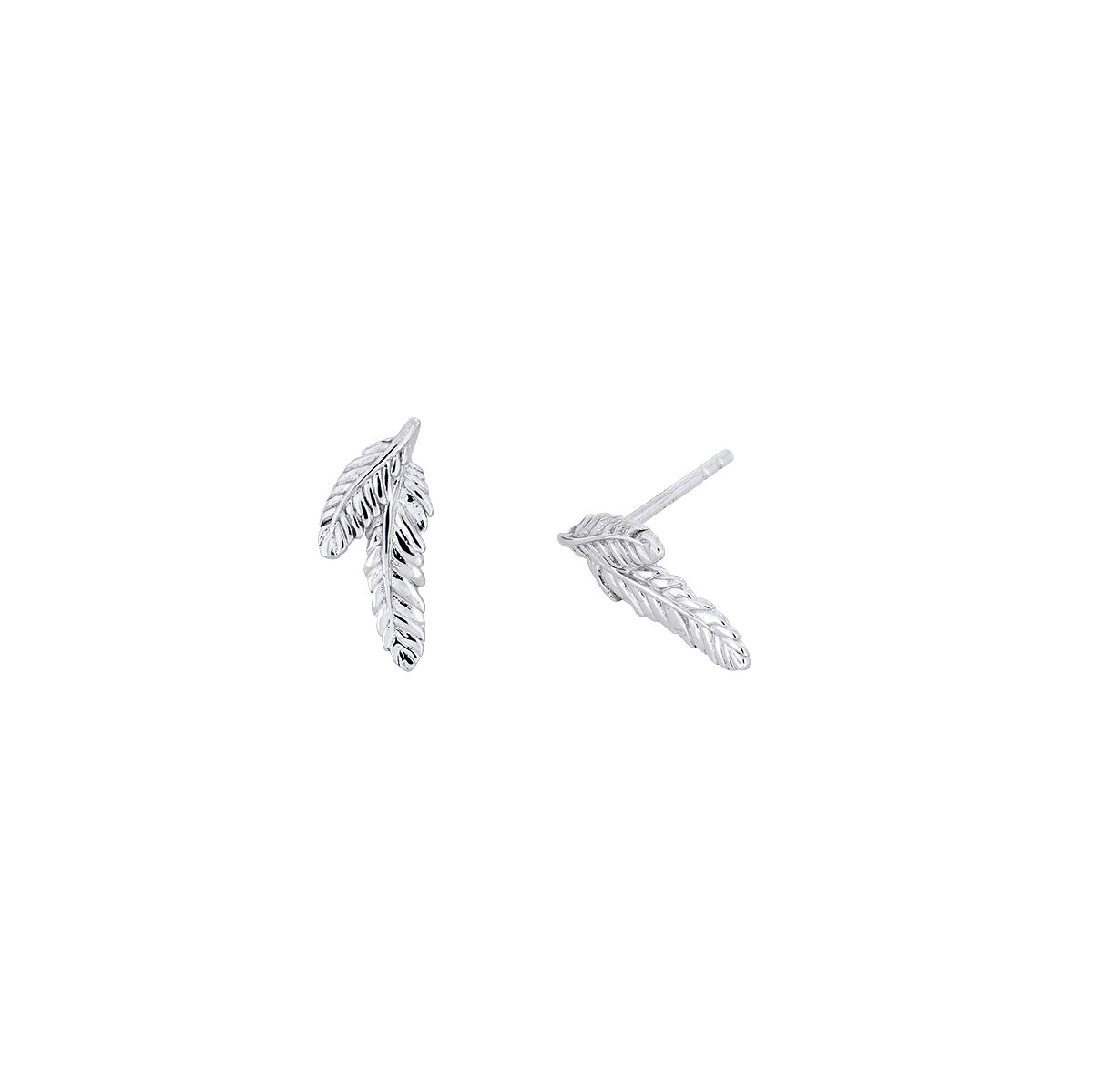 Curving Double Feather Stud Earrings