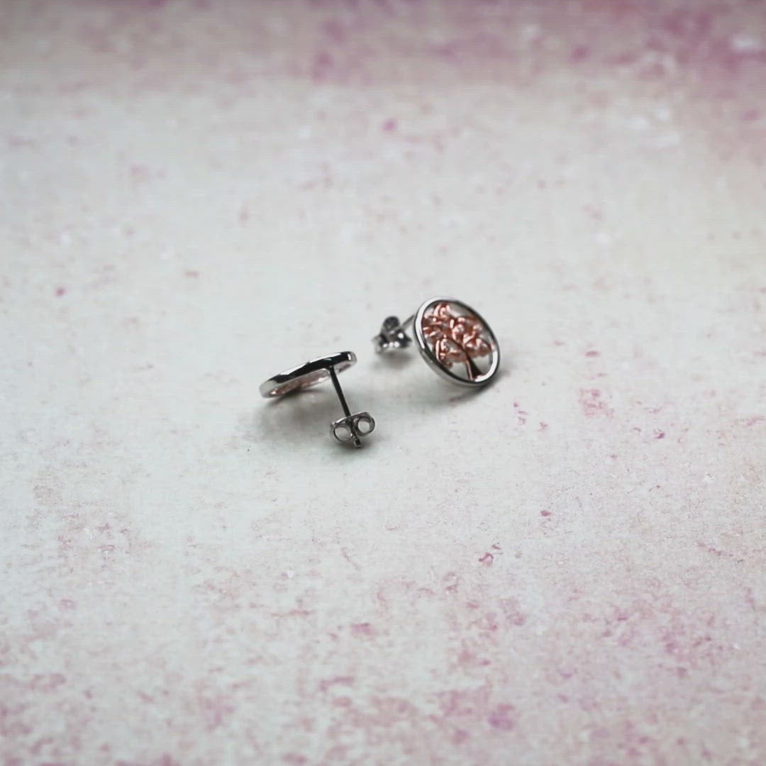Arbor Vitae Stud Earrings with Stones