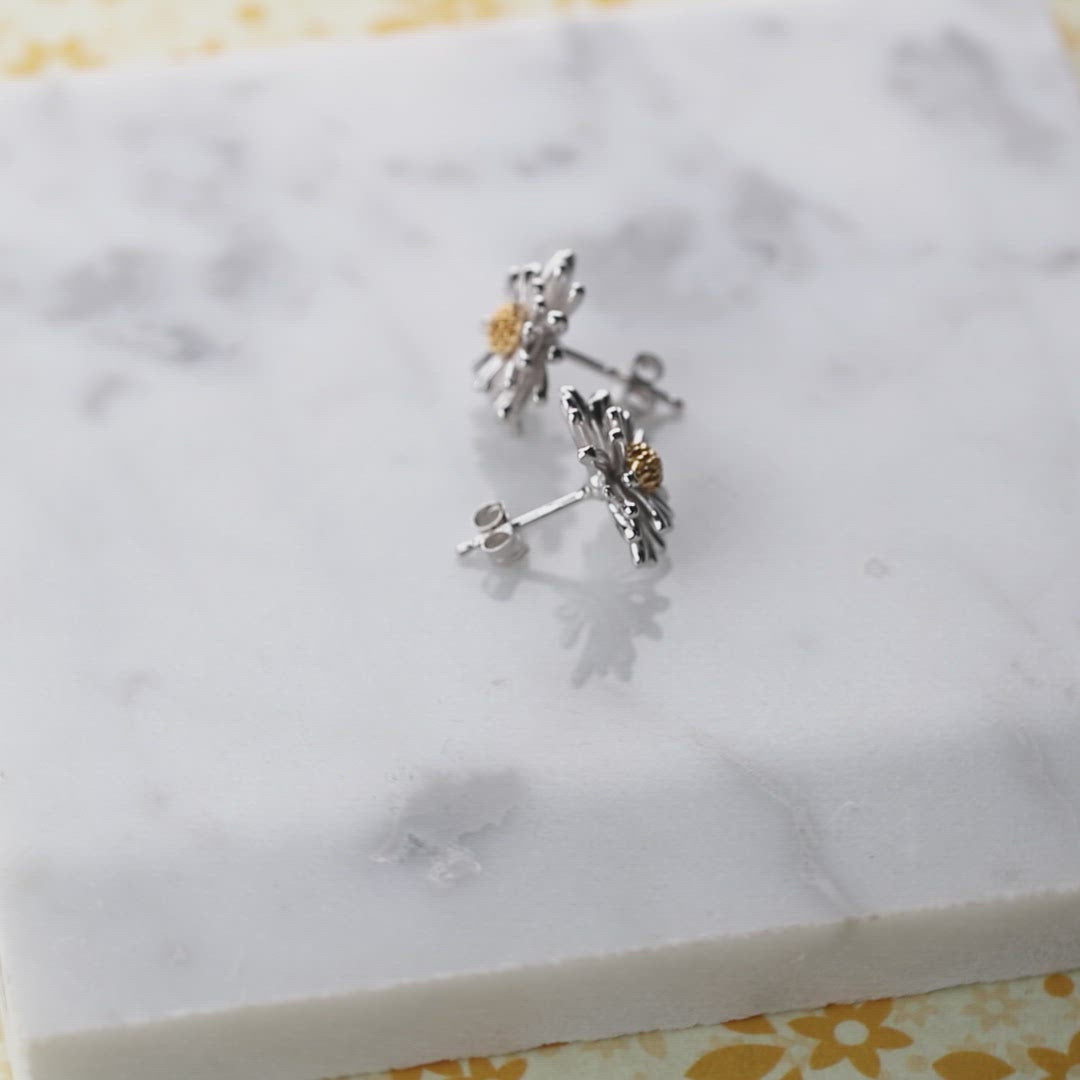 Michaelmas Daisy September Birthday Flower Earrings